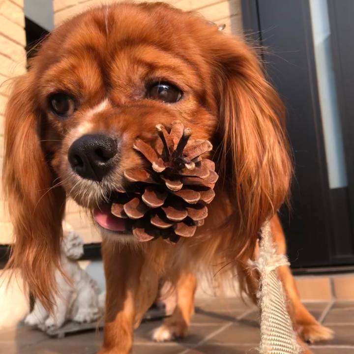 525b8fd9 5b84 4d90 a642 b7c4783cf604 1564308956180