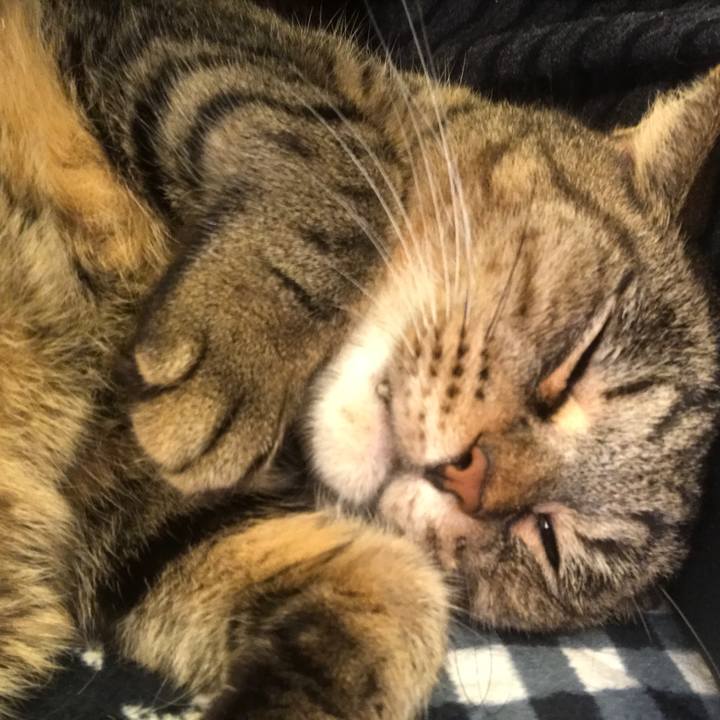 525b9acb 11fb 42c2 9760 3cbd919f20b4 1509710266782