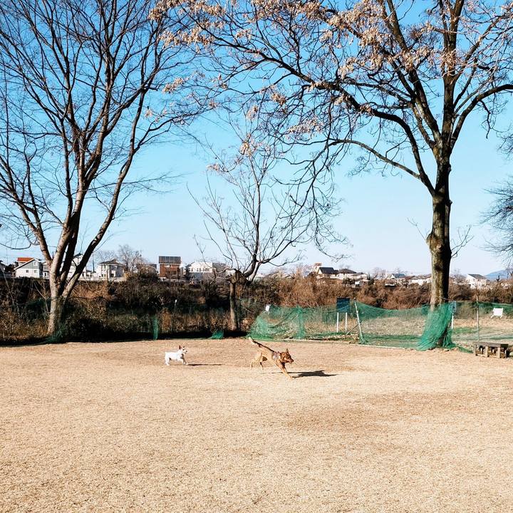 525b9f17 dbe9 4049 afb1 1baacc3375dd 1768009692328