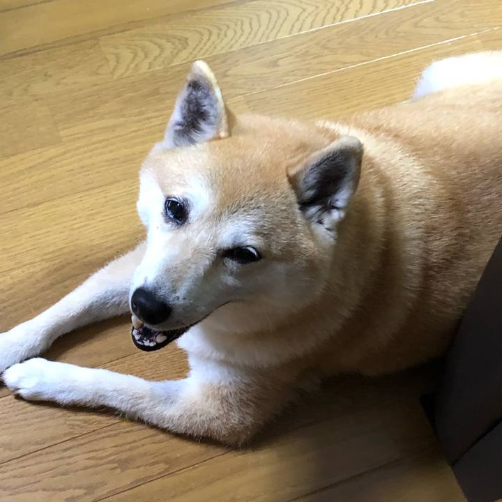 525bb9e2 6b64 4012 add2 fa114e4670ab 1560582897458