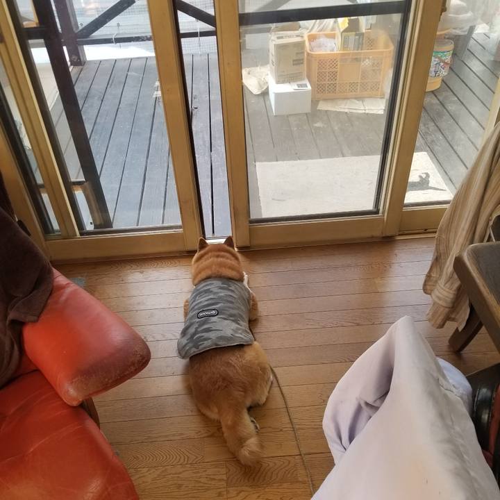 525bec5e e869 4cff 94e5 3dc1bead10fd 1679268165201