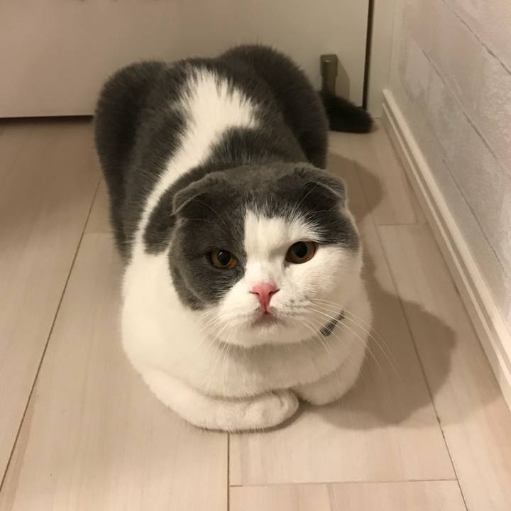 525bf207 dd21 4926 a1d9 885b82f2a16b 1525569264868