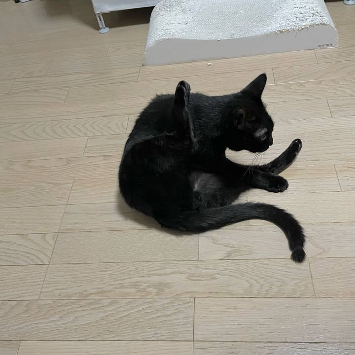 525c0aef 26d9 4f96 a8ce 1bb98762a572 1681302265999