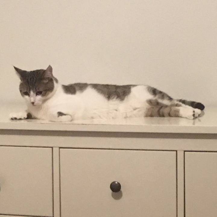 525c170f c4de 491d ac75 08a5c98ae436 1658534799606