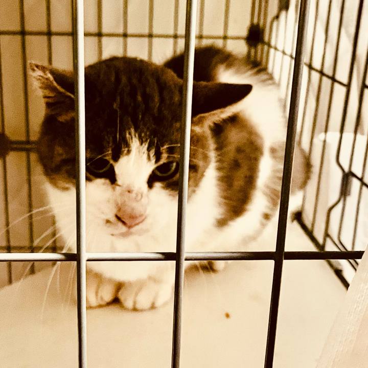 525c1e34 621e 42fb a1a3 7c914b6f3c84 1766712392184