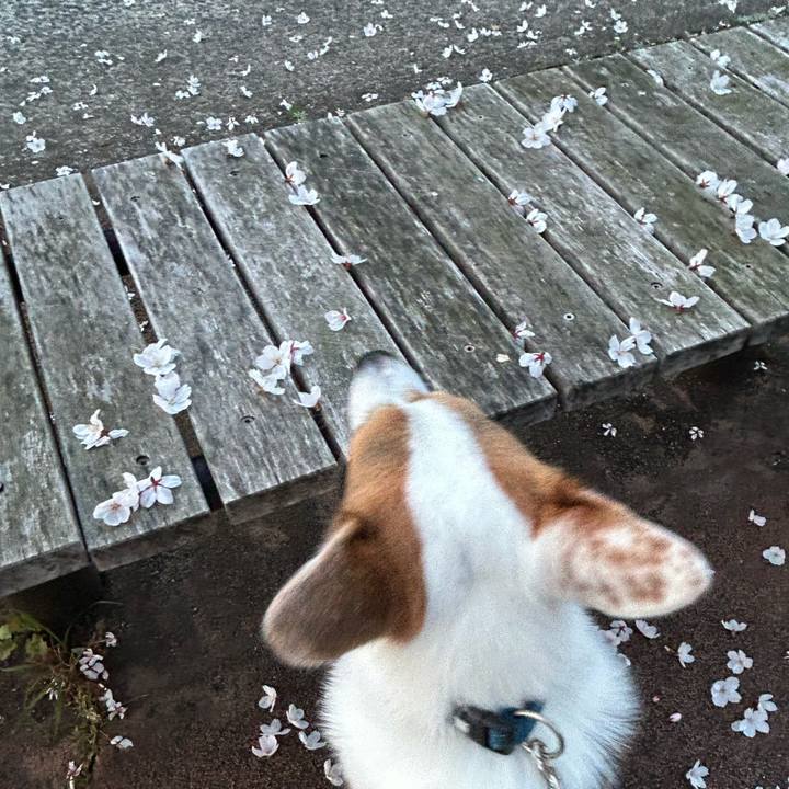 525c62c8 2634 4c73 9b57 d9250f801f15 1774792565714