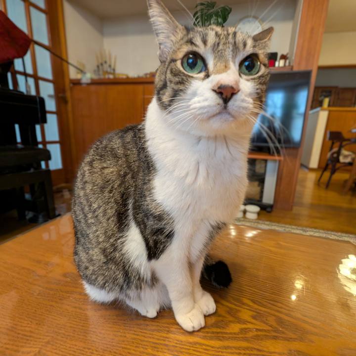 525c82df 9270 469d 8fda 41e9b684bb74 1771888595800