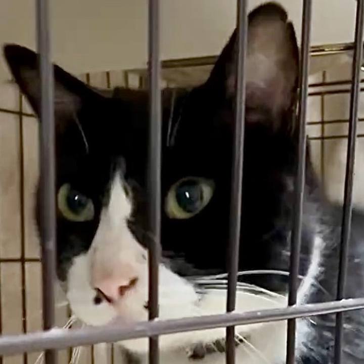 525c9798 baa0 4736 8036 0949bee5c6ce 1752831166650