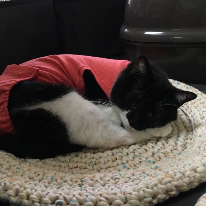 525c9d14 6231 4ec4 8654 3aa838f90b67 1596972220704