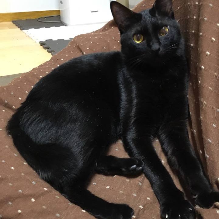 525ca834 0b91 4b6a a24c ad1fd0947a3d 1606949332525