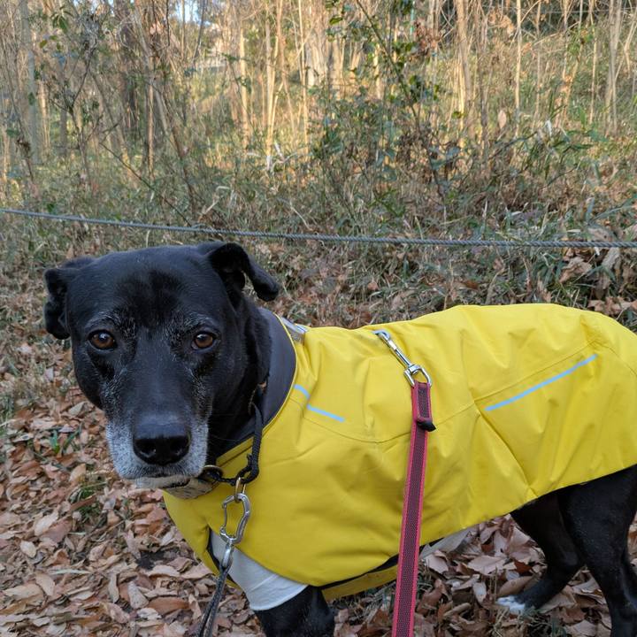 525cabb8 81a5 437d 81d4 2c64028cef8e 1737590664473