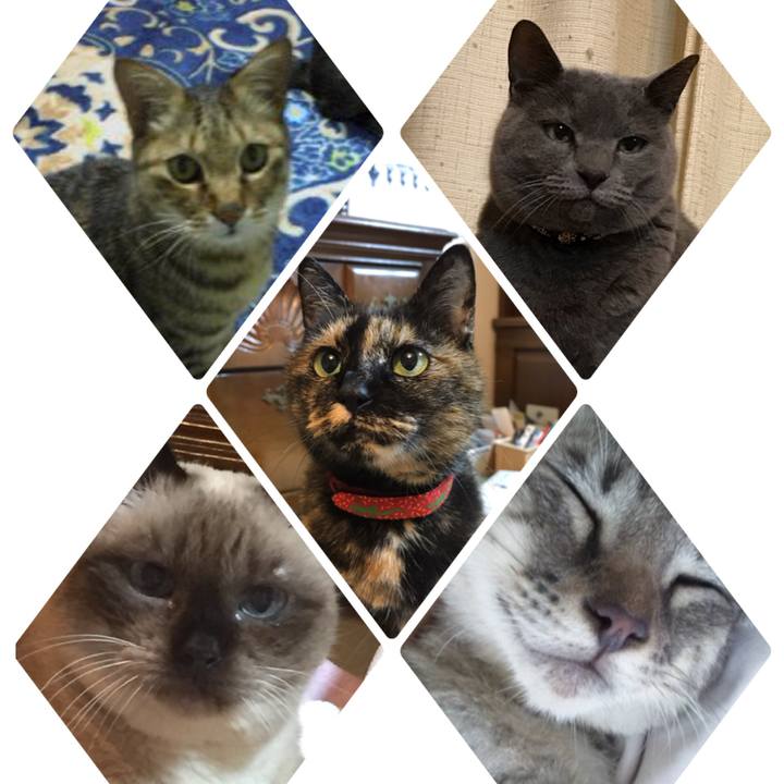 525cd263 80ef 49a0 b69d 4bf67f0a4034 1588555487331