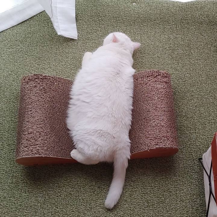 525d14b6 e563 4c12 a639 cc589965b171 1664755692863