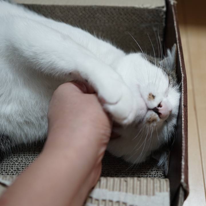 525d7c59 5525 465c ac52 ce5b74cb8663 1559865452540