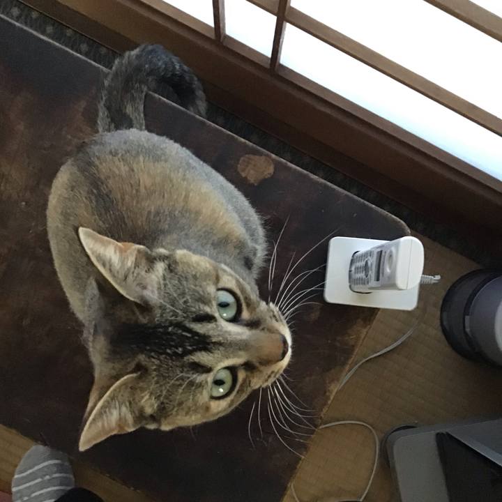 525d9994 a09c 46c5 bf38 9fae8c2bb988 1588927603348