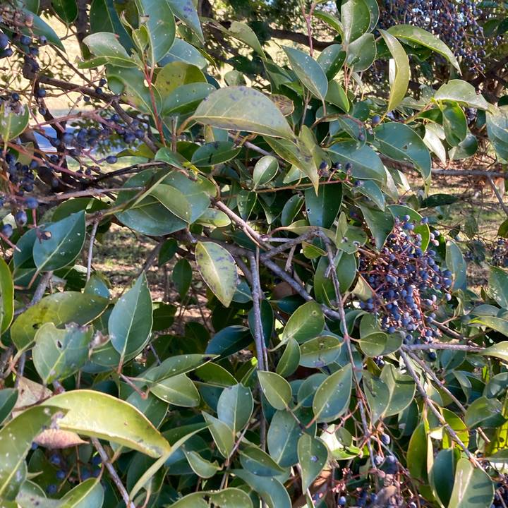 525dbaf2 0b15 4f57 9f99 9b20b025b36a 1641186725743