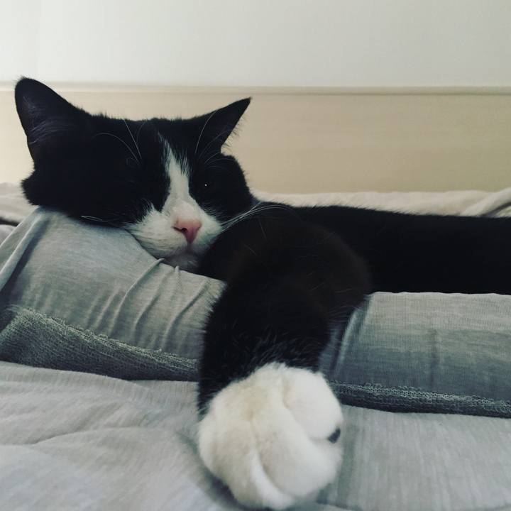 525dbd06 c470 4109 99d7 927353357055 1593403362332