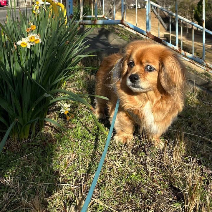 525deea2 ac32 4e75 a38e 0ea2a62876eb 1708734278780