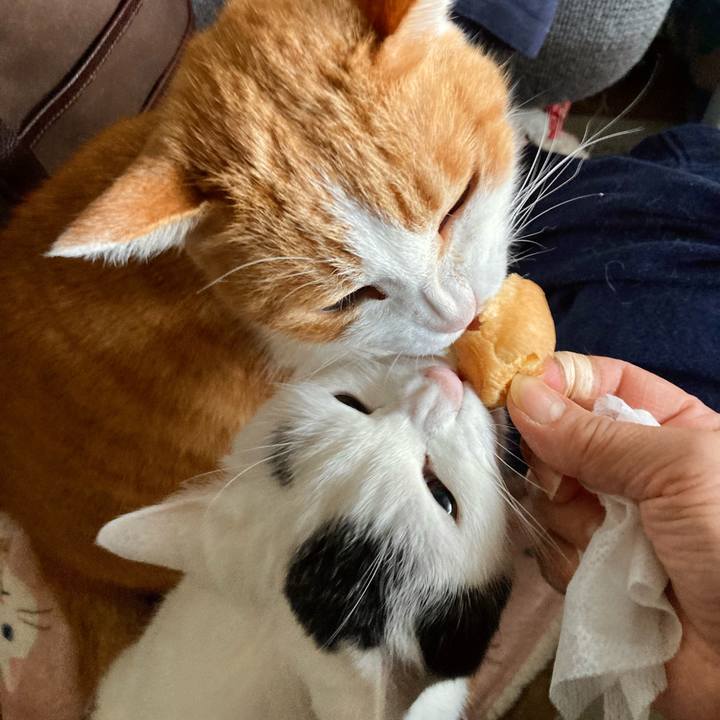 525e0c2d 9f5b 4664 a969 582654336726 1639526876191