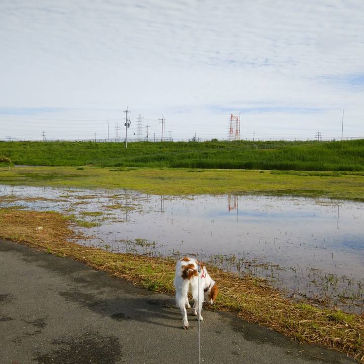 525e18e8 1e01 4a17 9a13 fb42b6b58e33 1525754006447