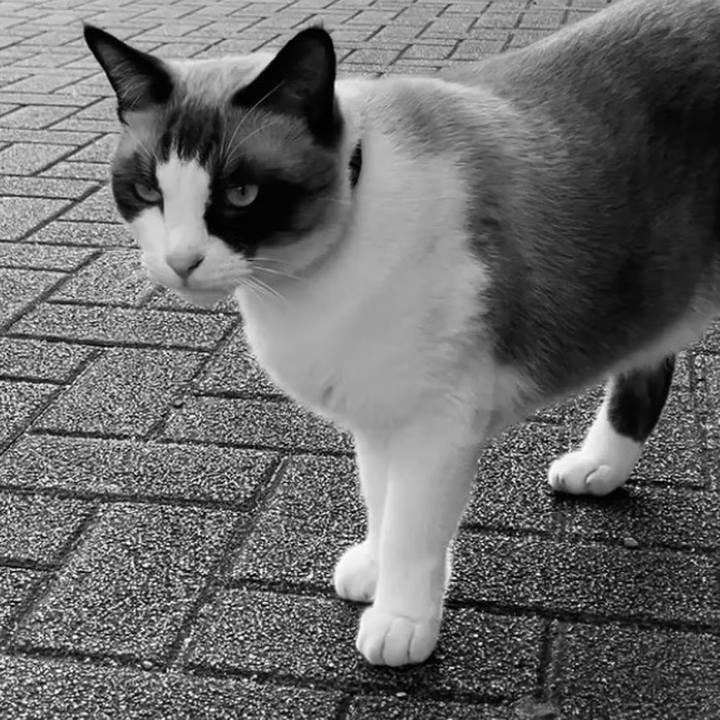 525e3997 aec6 4449 8f8e 729053d5b63b 1729062739441