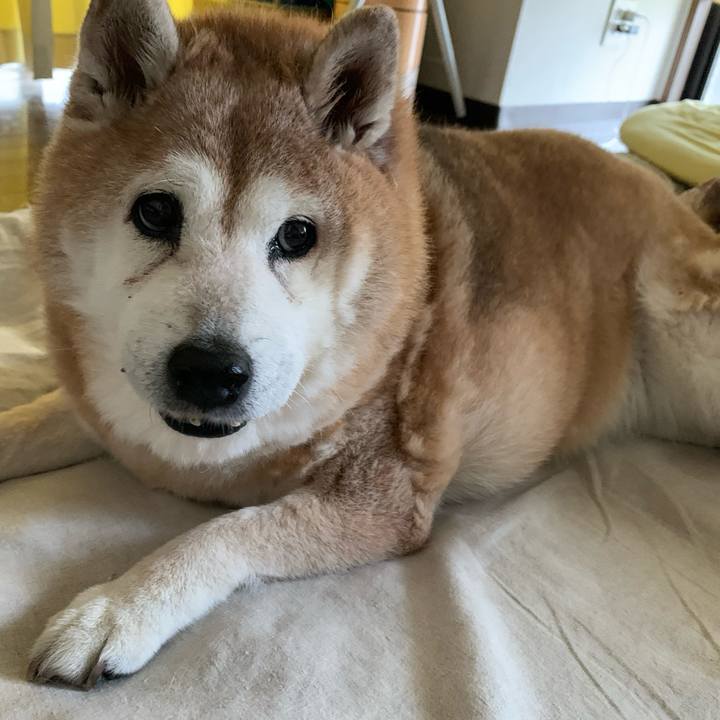 525e7383 b3a2 4490 b554 0d611ee5d7e0 1632956777403