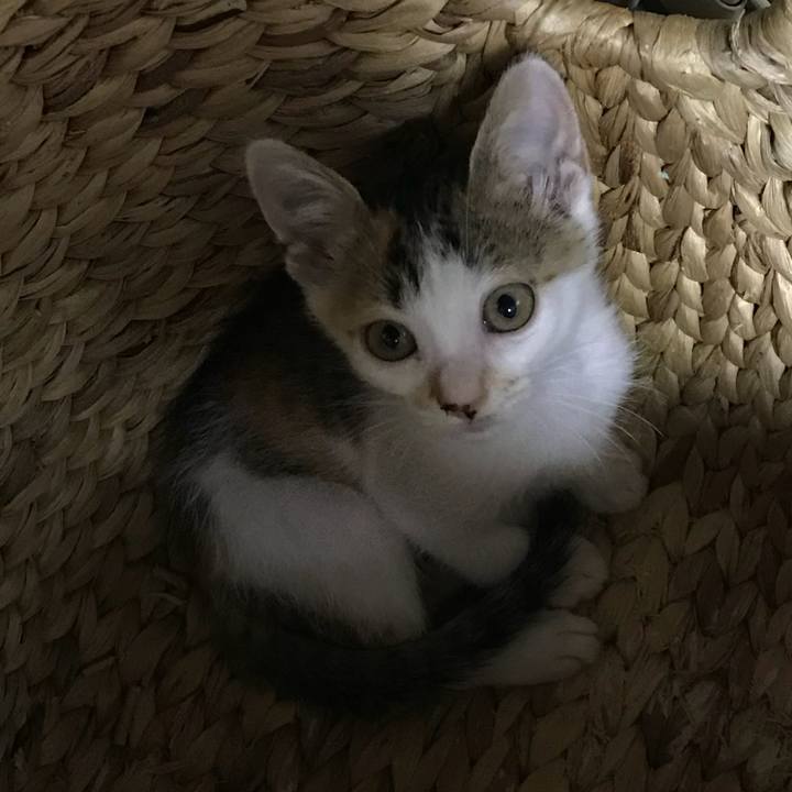 525e828a b954 47ec 8a77 e8caf987f78f 1529590497621