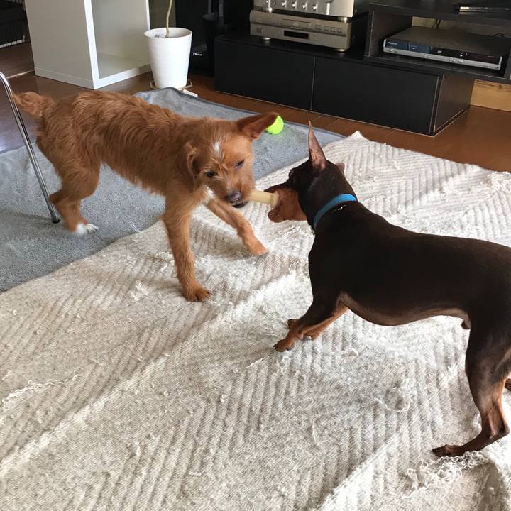 525ebea5 c41f 4038 892a 3bb3d13ad541 1552727379720