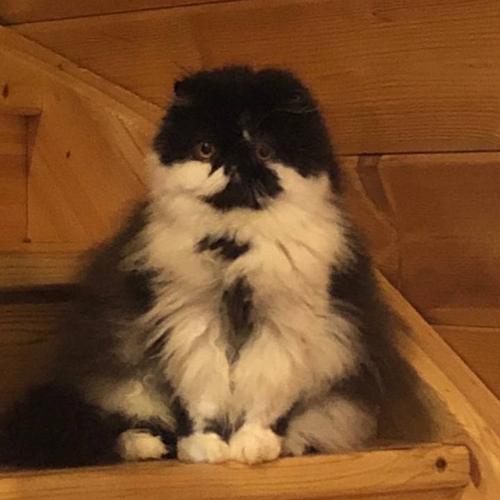 525f1a22 fbc5 48fa b4eb 5586f0b77f2e 1540419601203