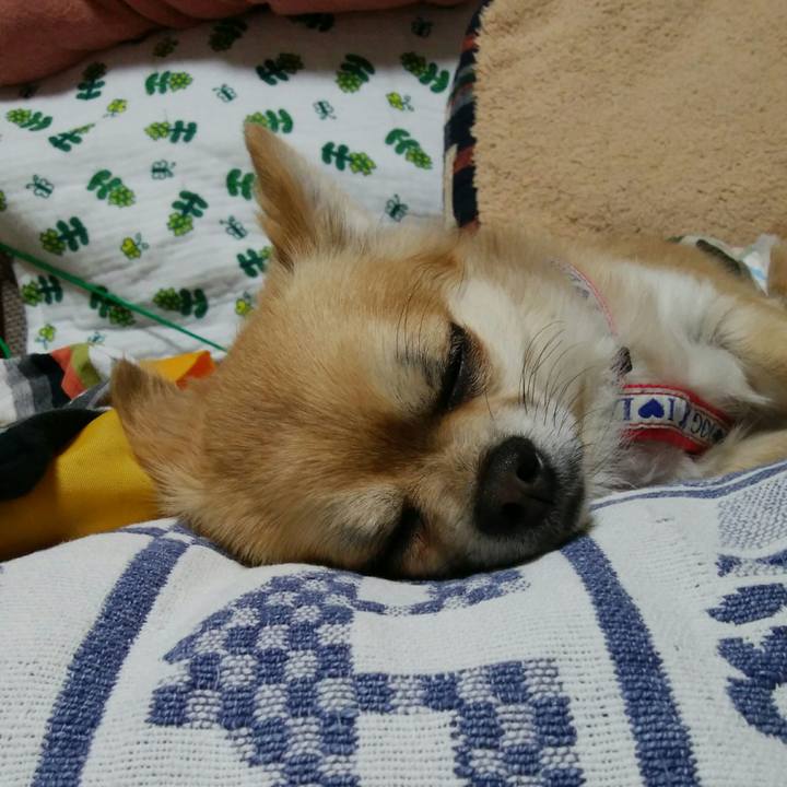 525f4352 db2f 4101 a871 48976600f756 1525433101113