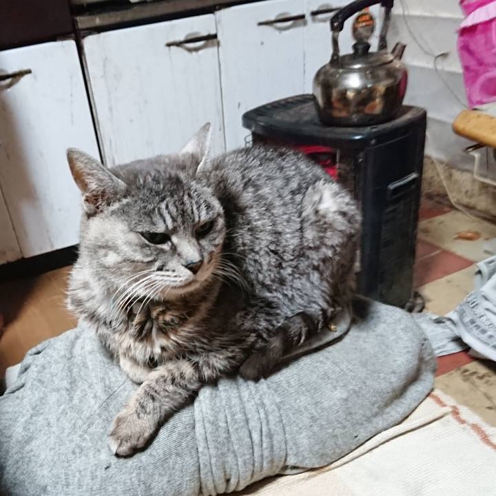 525f54c6 a338 447a 8f8b 047065dc7f3d 1576324512834