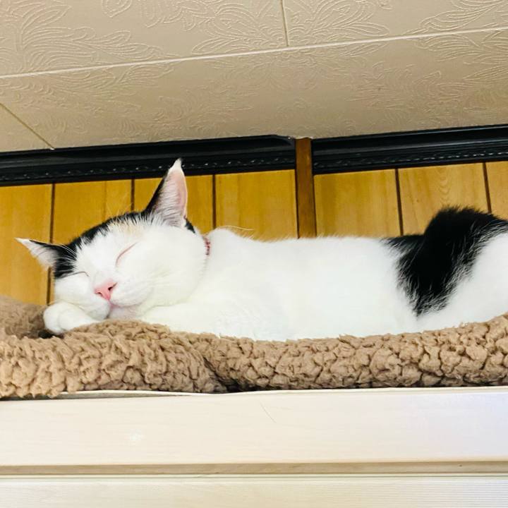 525f5908 9301 42af 8df6 4a111ac2ebde 1699448567584