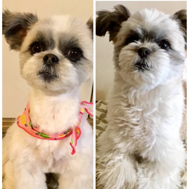 525f5c65 978b 47d3 8f56 d61195f9e235 1518957750723