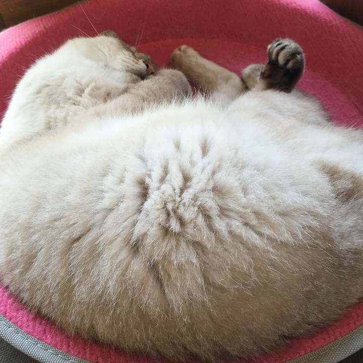 525f8220 a688 4c1d b9ed b7e4325efd0b 1533109069691