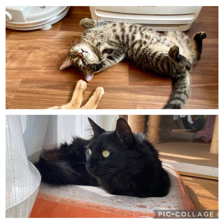 525f8946 2620 46fd b6b0 e2e5465afe88 1743232425361