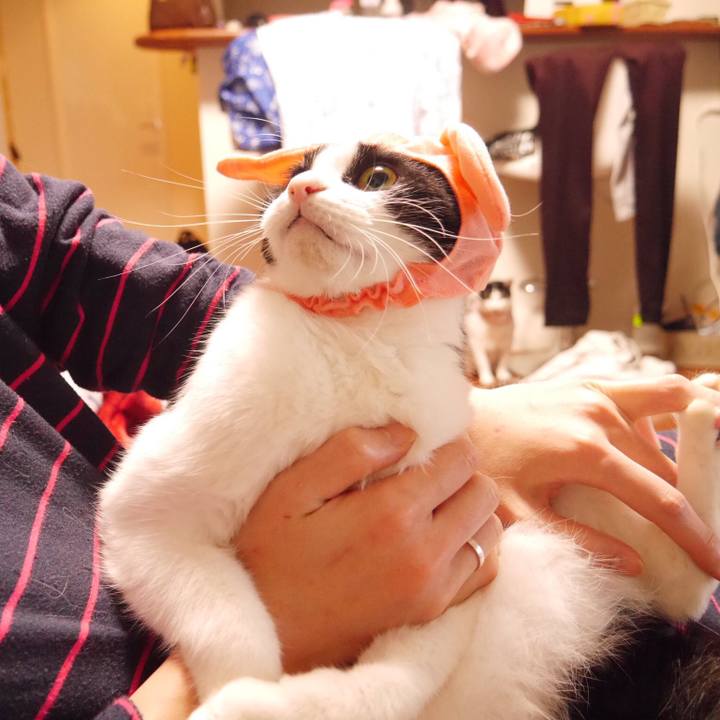 525f89ea 2696 4bff b015 05a9d994ef29 1516065084194