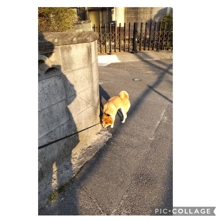 525f8e44 a880 4a44 a68e d4999302c6ae 1709941109635