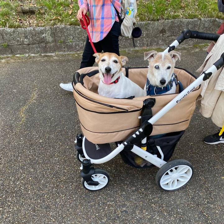 525fa2ff 21bd 46fe a892 f3e0ff989d42 1680430954887