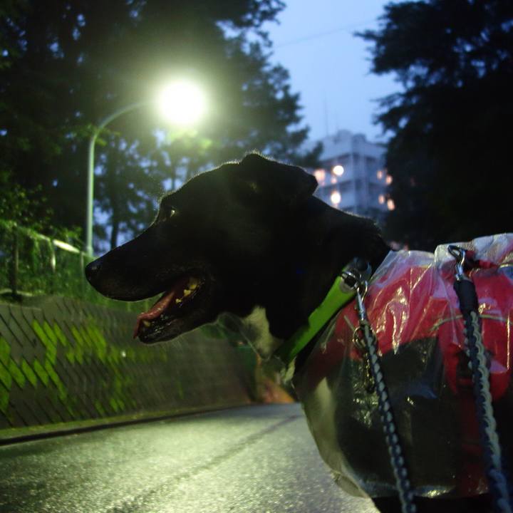 525fb0b4 e35d 4be4 a745 cebf79f2f3e7 1630580297238