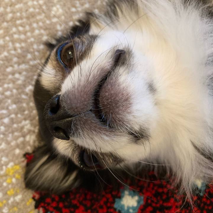 525ffd6e d877 40c4 9b31 05e172ac8855 1706407555501