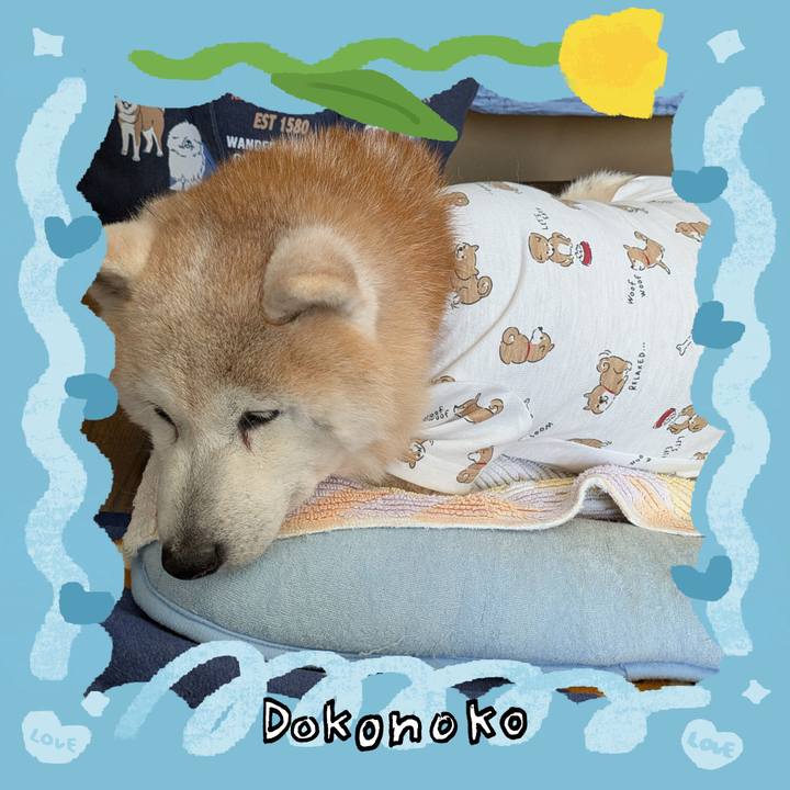 52602922 8983 49e1 a7c4 3994afa3211e 1772330222176