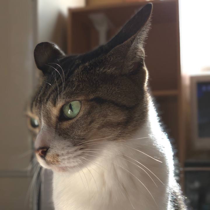 52602f2f 47db 40ab 8ed6 33442c794b87 1542936681641