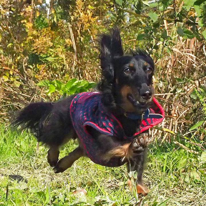 526031f4 2942 4bdd 8972 50146b8a74df 1509858801887