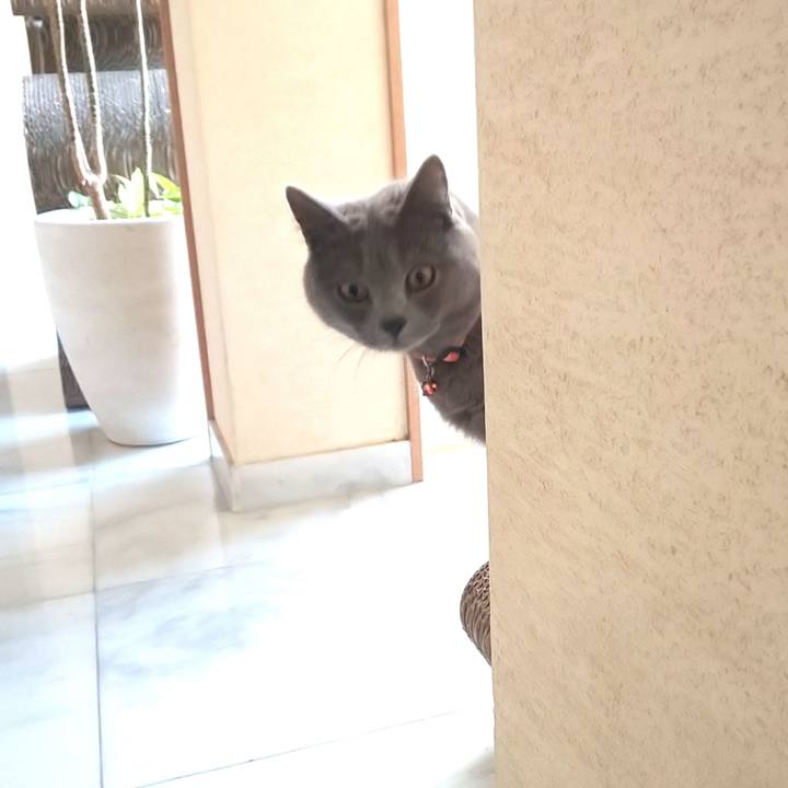 52604351 8bee 4726 a58d ee1a29d3f17d 1553587399900