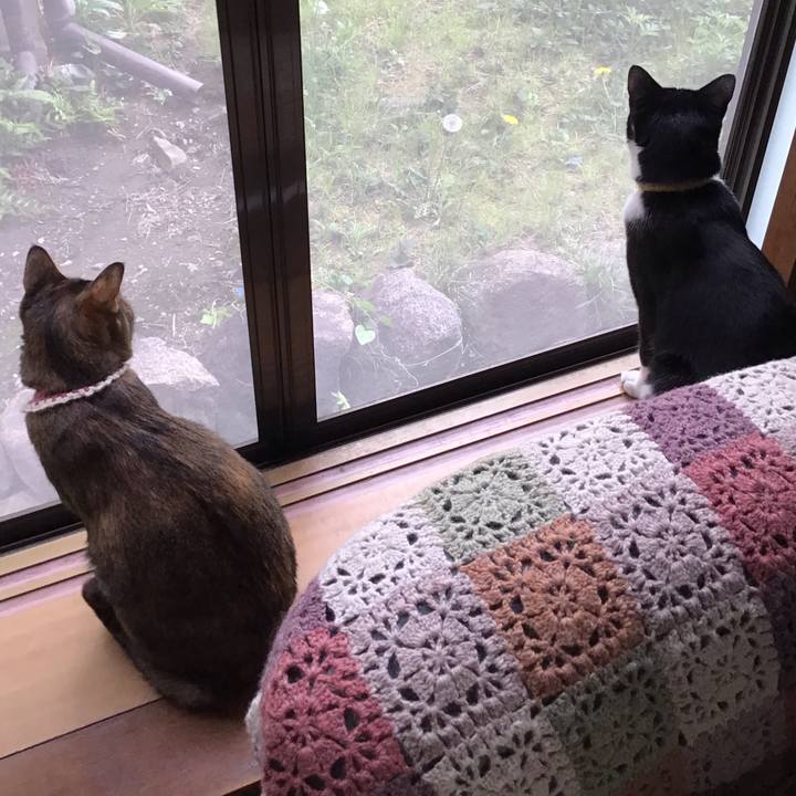 52604c79 6330 4713 9877 f637b59d16c6 1650094251264