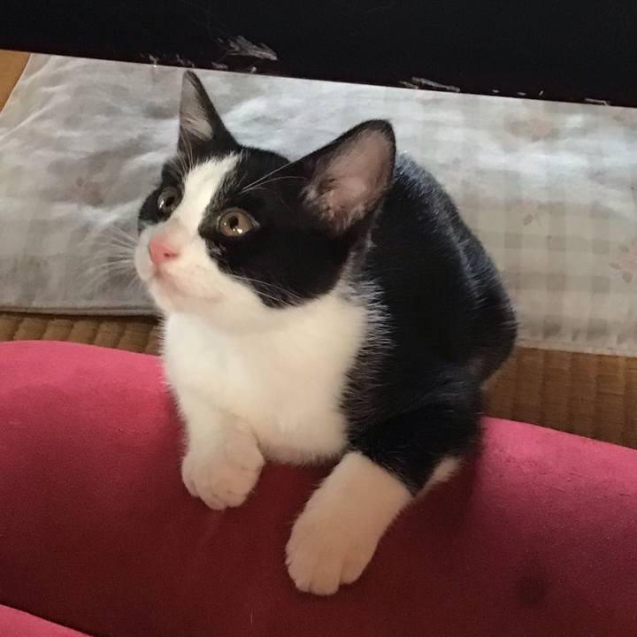 526065d8 dd48 4d66 bb03 3752dc0b8f72 1625966698920