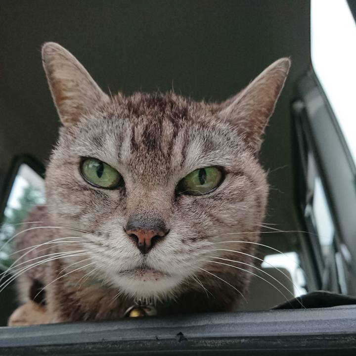 5260b2b2 2158 41b5 9c26 79a56e1a2381 1562209871326