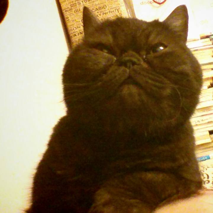 5260cde4 f45c 4c88 8f7d 2b5541146dbe 1579335179862