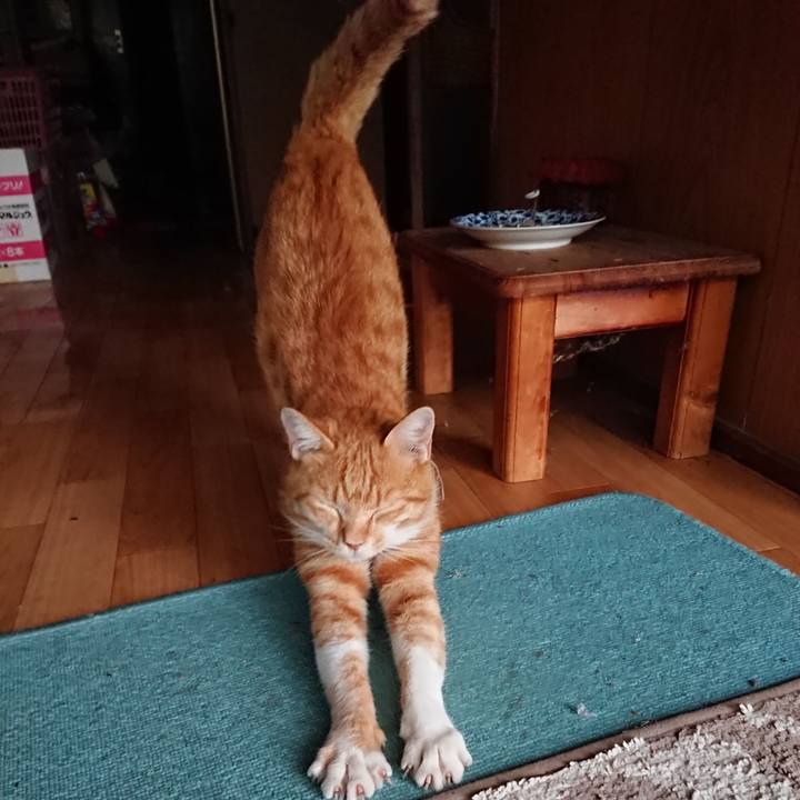 5260d8ae 2a50 440f ae36 3ba1807cce65 1566984506905