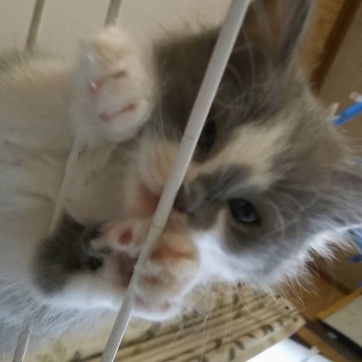 5260e63a 35eb 4e9a ac8a 3583c59af0ca 1560068105251